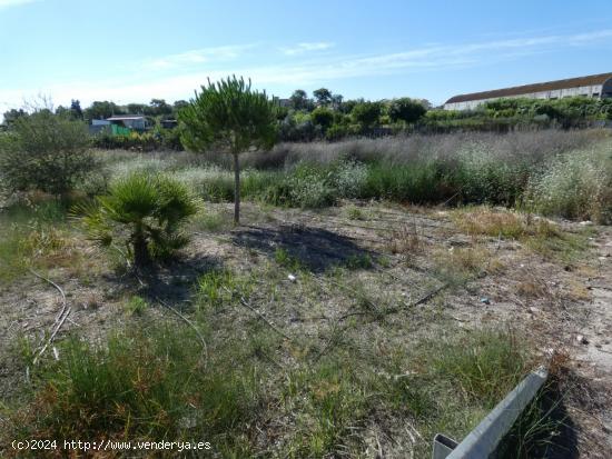 ++Terreno rustico en Molina de Segura zona Torrealta++, 937 m. - MURCIA