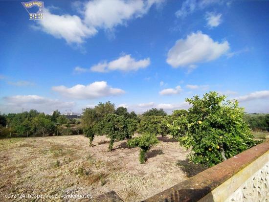 SE VENDE ESTUPENDA FINCA CON TERRENO VEGA LOS MOLINOS - CADIZ