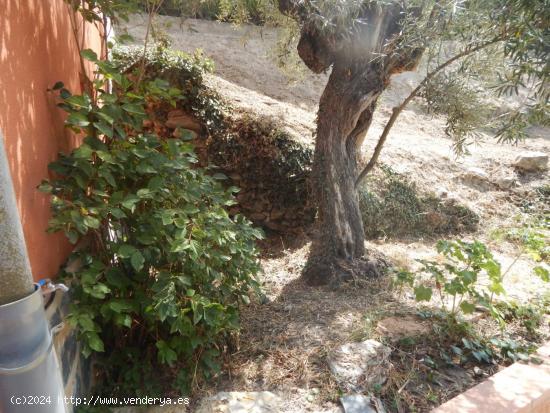 Oportunidad Caseta con Terreno en Bocairent - VALENCIA