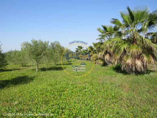 TERRENO CON POSIBILIDAD DE CONSTRUIR DOS CASITAS DE CAMPO MUY CERCA TÉRMINO AGULLENT - VALENCIA