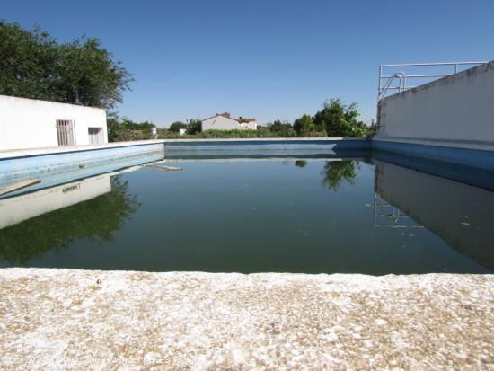 GRAN PARCELA EN LAS VIÑAS - ALBACETE