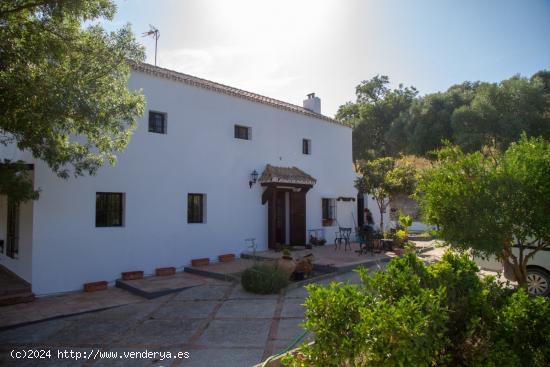 se vende finca en Arcos de la Frontera - CADIZ