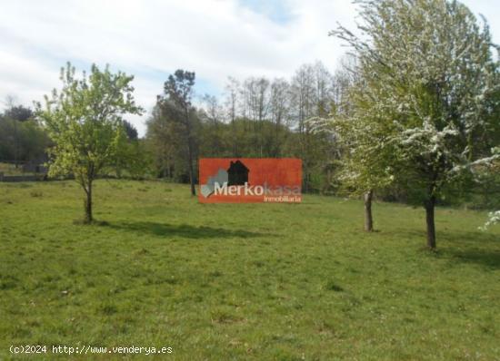 SE VENDE FINCA RUSTICA CERCA DE LA CARRETERA SANTIAGO - LUGO