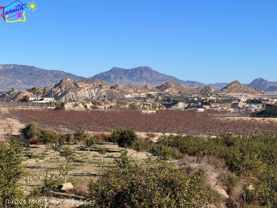 TERRENO RUSTICO PARAJE CAÑADA DEL BOTICARIO - MURCIA