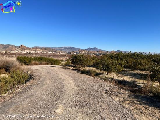 TERRENO RUSTICO PARAJE CAÑADA DEL BOTICARIO - MURCIA