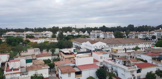 TERRENO EDIFICABLE - SEVILLA