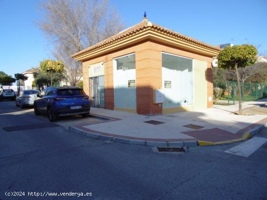 LOCAL EN CASTILLEJA DE LA CUESTA - SEVILLA