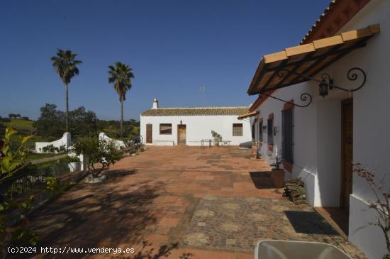 Se Vende en Alosno - HUELVA