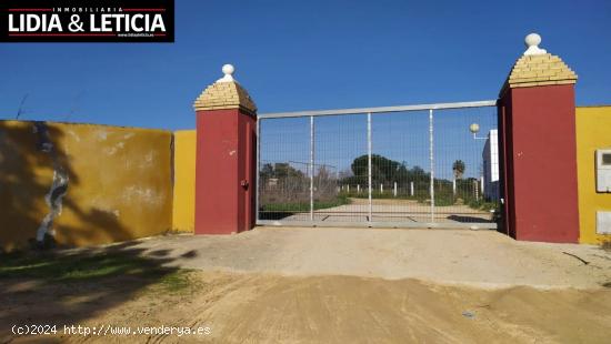 TERRENO RUSTICO - SEVILLA