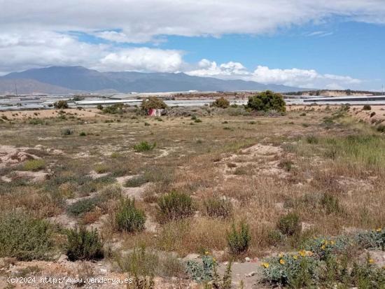 TERRENO URBANIZABLE EN BALERMA - ALMERIA