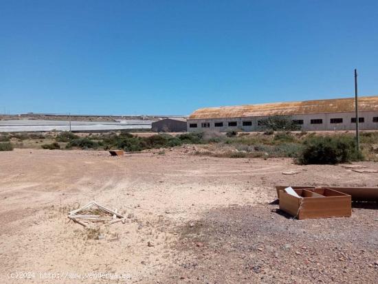 TERRENO URBANIZABLE EN BALERMA - ALMERIA