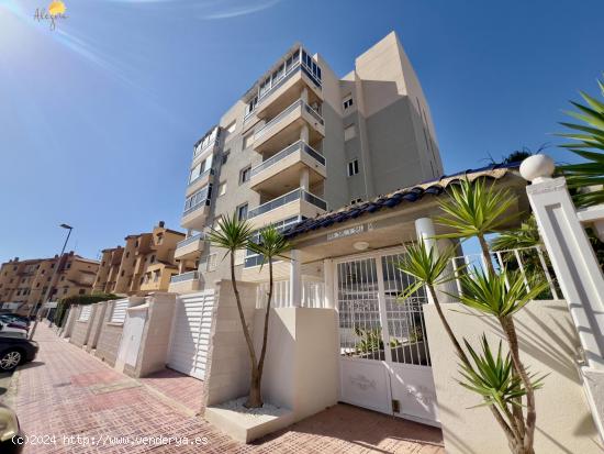 APARTAMENTO REFORMADO CON AMPLIA TERRAZA Y PISCINA CERCA DEL MAR - ALICANTE