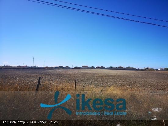 Terreno no urbanizable de uso agrícola - CADIZ