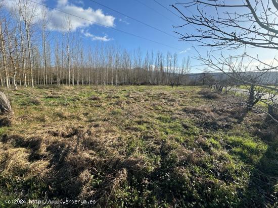 SE VENDE FINCA RÚSTICA EN DEHESAS - LEON