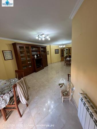  SE VENDE PISO EN ALBACETE, ZONA CARRETAS - ALBACETE 