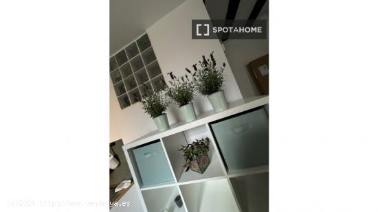 Apartamento entero de 1 dormitorio en Barcelona - BARCELONA