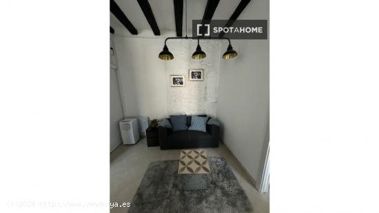 Apartamento entero de 1 dormitorio en Barcelona - BARCELONA