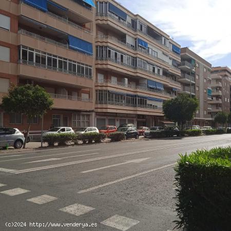 LOCAL COMERCIAL EN EL CENTRO DE TORREVIEJA - ALICANTE