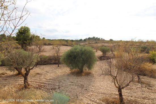 Terreno en Hondon de los Failes - ALICANTE