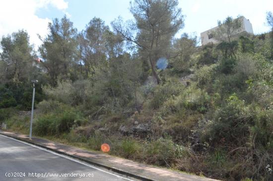 TERRENO A DOS CALLES EN MAS ALBA - BARCELONA