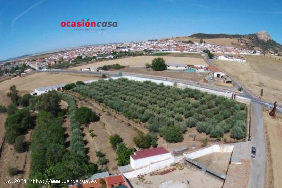 PARCELA RÚSTICA CON VIVIENDA, OLIVOS Y PARRAS - CORDOBA