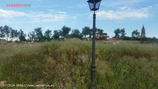 TERRENO URBANIZABLE EN PEDROCHE - CORDOBA