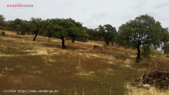 VENTA DE FINCA CINEGETICA - CORDOBA