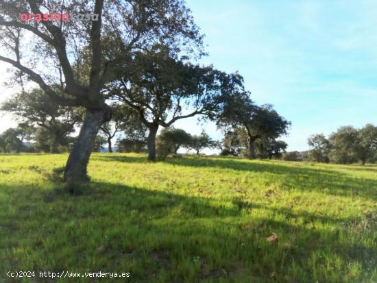 VENTA DE FINCA EN ALCARACEJOS - CORDOBA