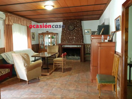 CHALET CON PISCINA Y OLIVOS EN POZOBLANCO - CORDOBA