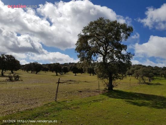 FINCA DE ENCINAS CON CORTIJO Y NAVES - CORDOBA