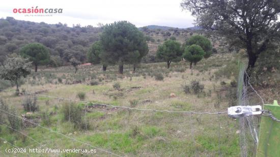 FINCA EN EL CALATRAVEÑO - CORDOBA