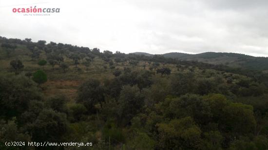 FINCA EN EL CALATRAVEÑO - CORDOBA