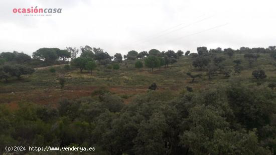 FINCA EN EL CALATRAVEÑO - CORDOBA