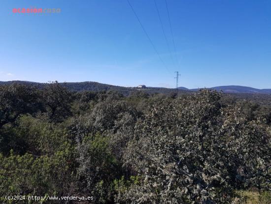 FINCA PARA CAZA MAYOR EN VENTA - CORDOBA