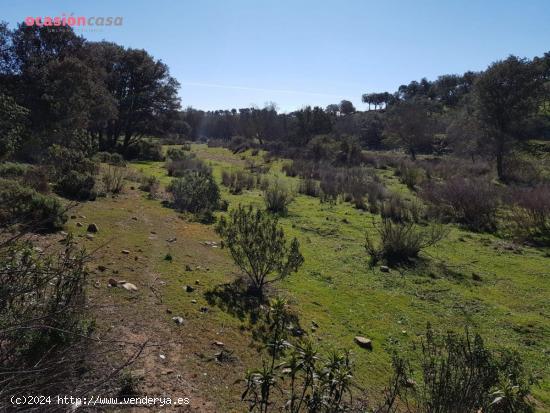 FINCA PARA CAZA MAYOR EN VENTA - CORDOBA