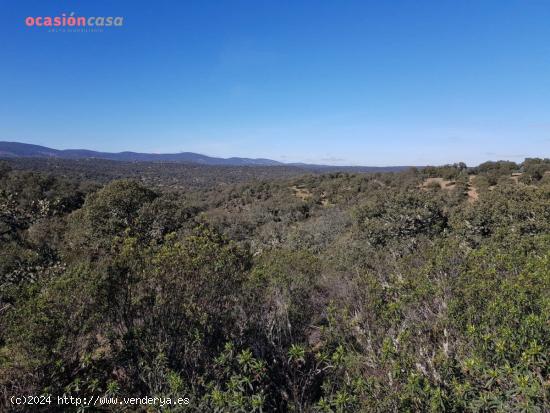 FINCA PARA CAZA MAYOR EN VENTA - CORDOBA