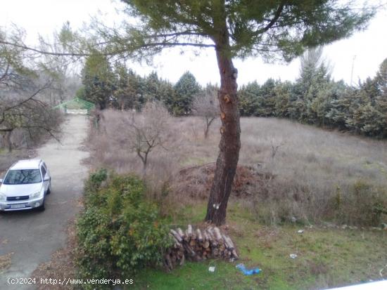 ESTUPENDA PARCELA EN CAMINO VIEJO DE SIMANCAS - VALLADOLID