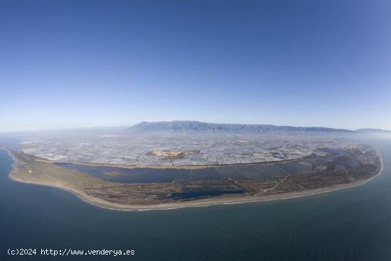 GARAJE O ALMACÉN EN SOTANO - ALMERIA