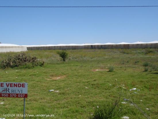 TERRENO URBANIZABLE SUS-52-TA - ALMERIA