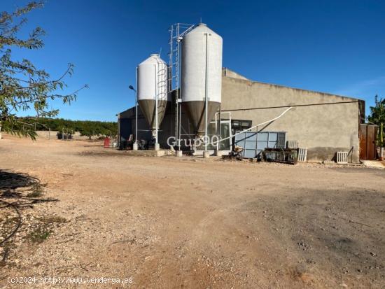 Granja en pleno funcionamiento cerca de Torreblanca - CASTELLON