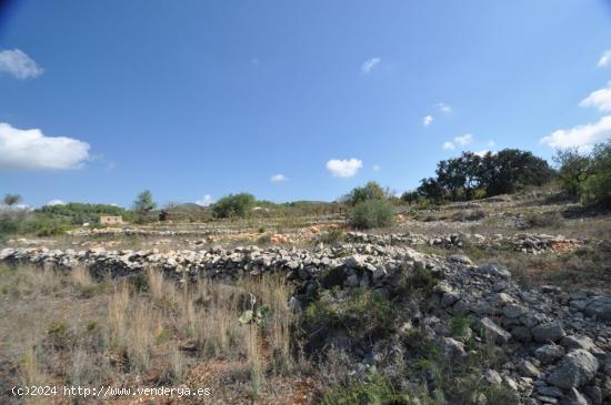 MUY BUENA Y PLANA PARCELA RURAL CERCA DEL PUEBLO DE BENISSA - ALICANTE