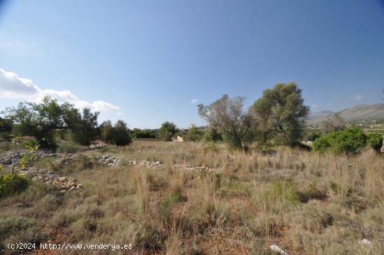 MUY BUENA Y PLANA PARCELA RURAL CERCA DEL PUEBLO DE BENISSA - ALICANTE