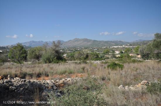 MUY BUENA Y PLANA PARCELA RURAL CERCA DEL PUEBLO DE BENISSA - ALICANTE