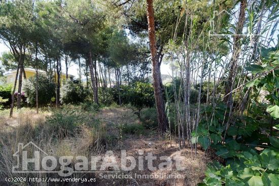 AMPLIO SOLAR PARA CONSTRUIR LA CASA QUE SIEMPRE HAS DESEADO TENER - CASTELLON