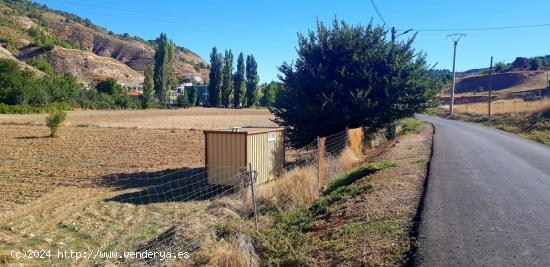 PARCELA RUSTICA EN HONTOBA PUEBLO - GUADALAJARA