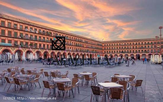 EXCEPCIONAL CASA SEÑORIAL EN EL CENTRO DE CÓRDOBA - CORDOBA