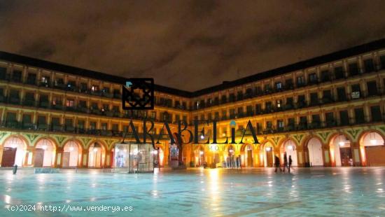 EXCEPCIONAL CASA SEÑORIAL EN EL CENTRO DE CÓRDOBA - CORDOBA