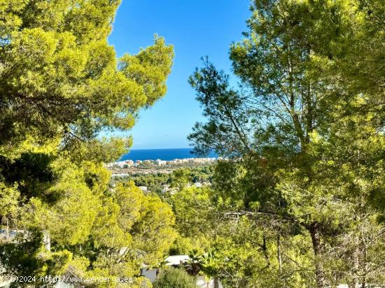 Exclusivas parcelas en Tosalet V con vistas panoramicas al mar - ALICANTE