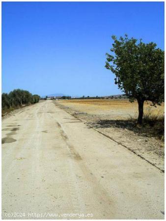 Parcela en venta en Cazalla, Lorca - MURCIA