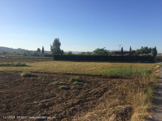 Terreno rural en Molina de Segura zona Ribera de molina. - MURCIA